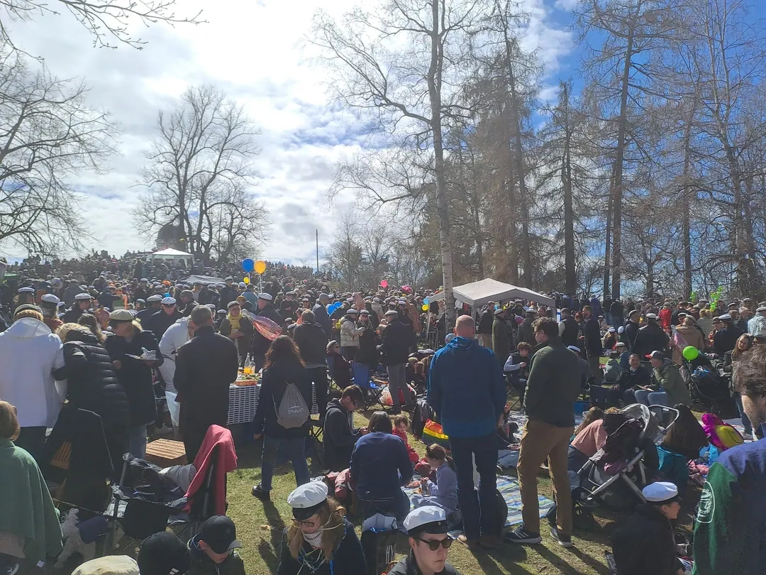 A crowded May Day picnic on the grass at Kaivopuisto in Helsinki, blankets and umbrellas as far as the frame goes