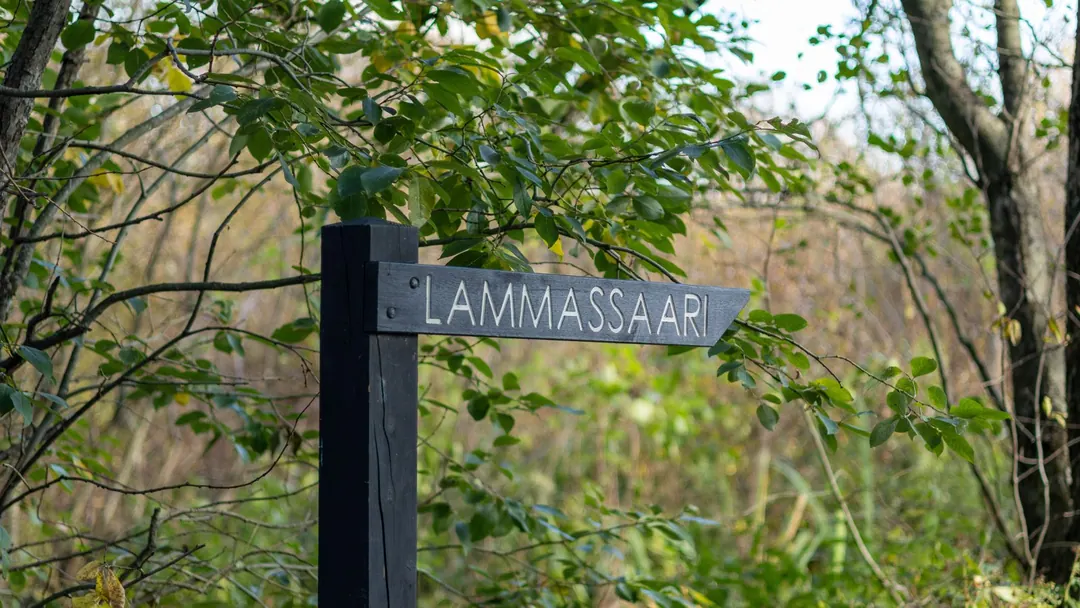 A wooden sign reading Lammassaari on a forest boardwalk