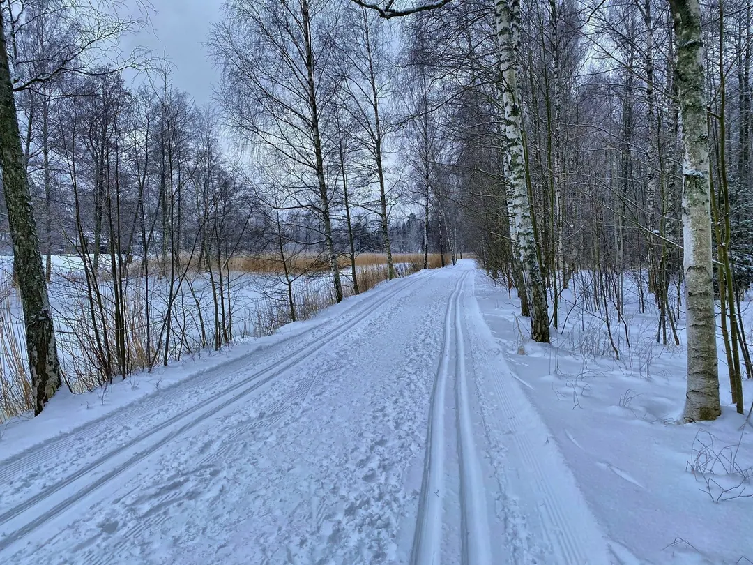 A prepared cross-country ski track running through snow in Roihuvuori, Helsinki