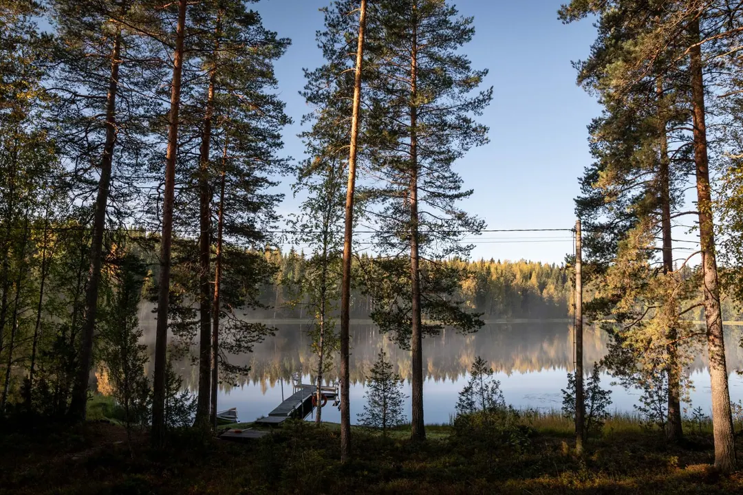 mökki - A wooden jetty with a chair and a lifebuoy on a still forest lake at dawn, mist on the water and pines catching low sun