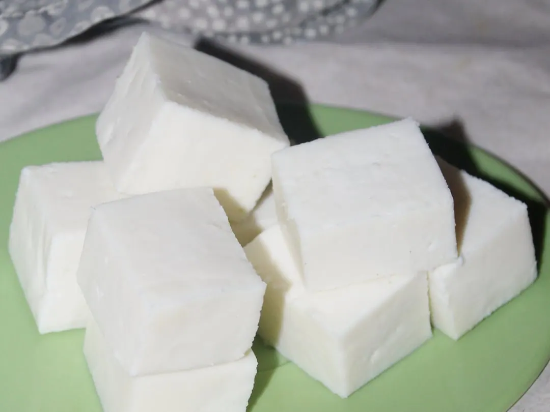 Cubes of plain white paneer cheese piled on a green dish