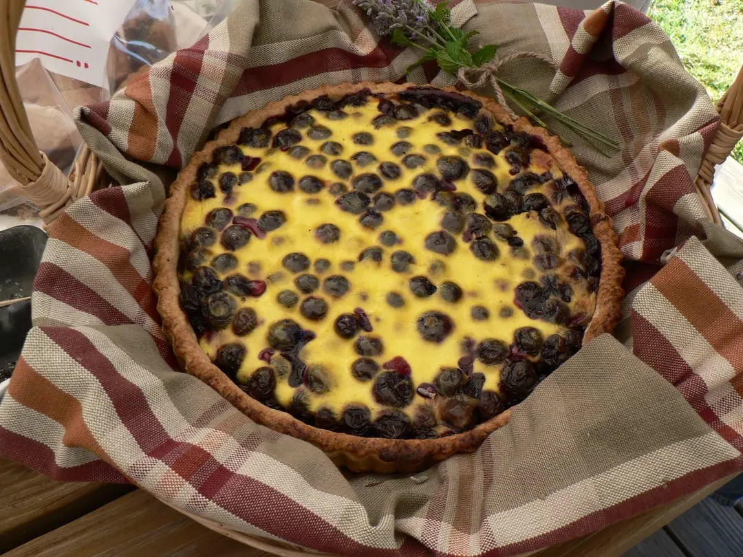 A round tart in a pastry case, filled with yellow custard and studded with small dark berries