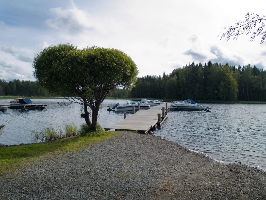 A plank jetty reaching into a calm lake with small boats moored along it, a single broad tree on the gravel shore