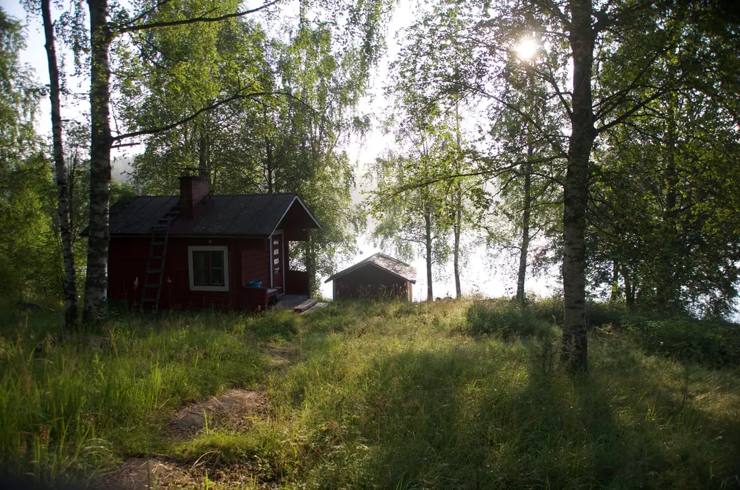 A small red-ochre wooden sauna building standing among birch trees in long grass, with a second outbuilding behind it